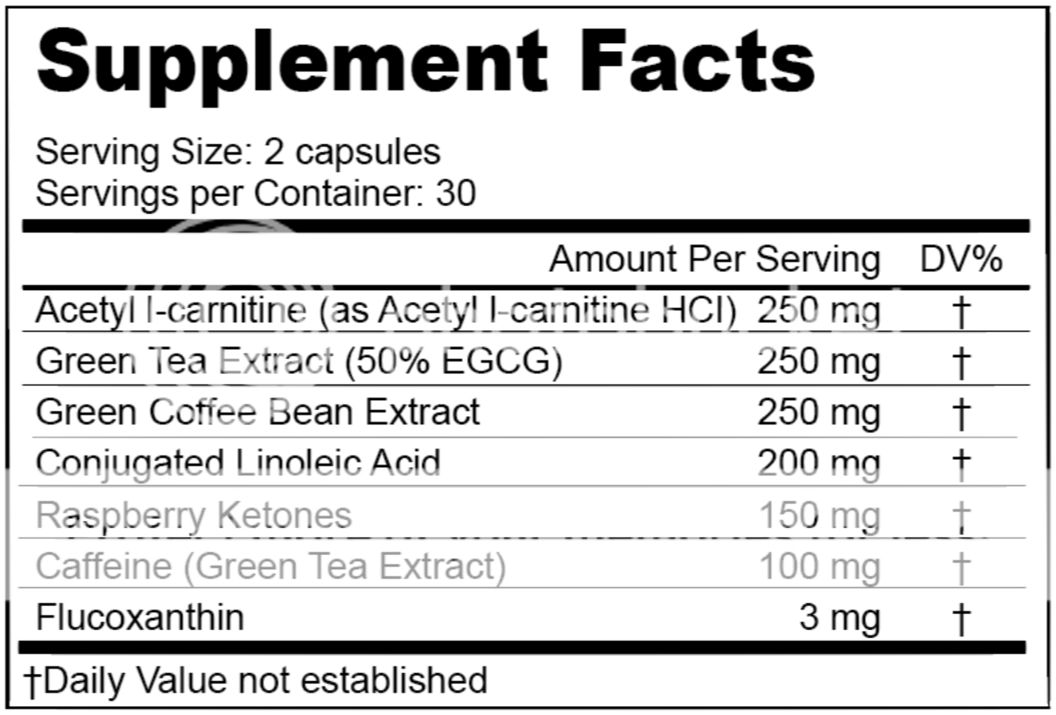 Be Blends Fat Burner Review Energy and Metabolism Booster